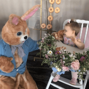 Peter Rabbit Party