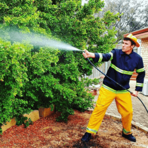 Fireman Sam Party Image