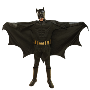 Batman Party Entertainer