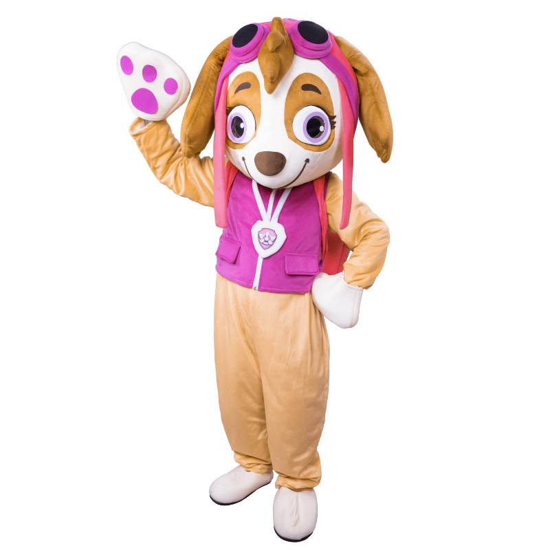Skye Paw Patrol