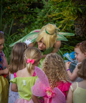 Fairy Party